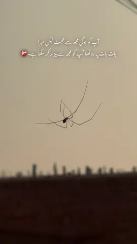 ❤️‍🩹#foryou #foryoupage #sameerhere 