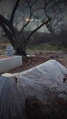 Xaloo💔🔥#zaxo_duhok_hewler_slemani_hawler #fyppppppppppppppppppppppp #actives? #viral #foryou @TikTok @For You 