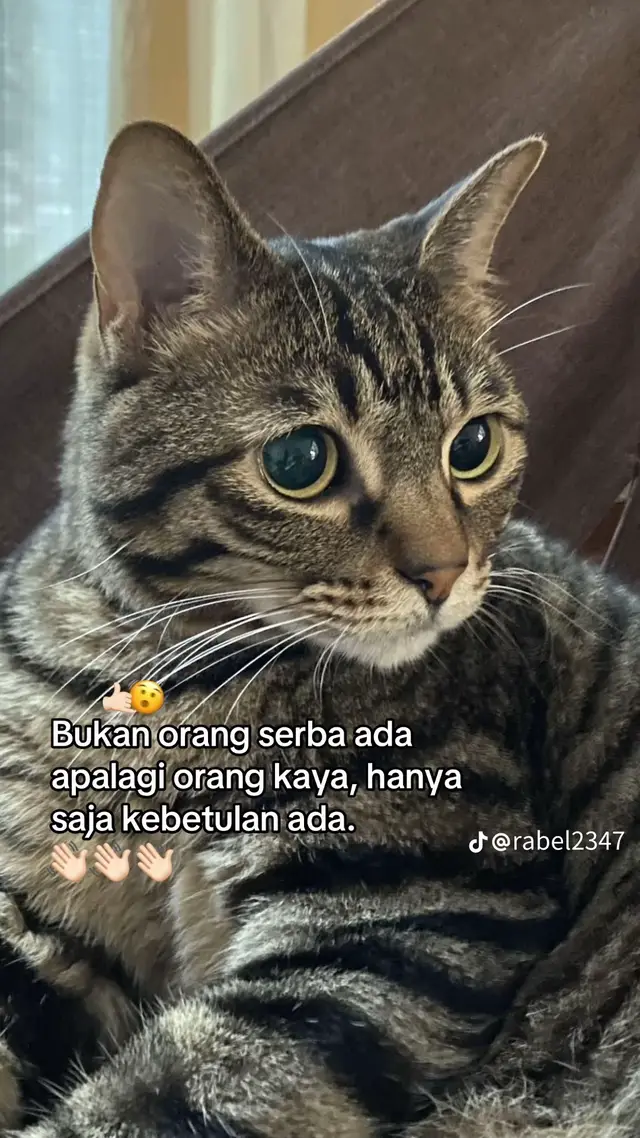 #viralvideo #fyp #fyppppppppppppppppppppp #fyppppppppppppppppppppp 