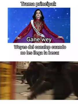 #sanerherrera #mechico #conalep #humor  #tuputamadrexd 