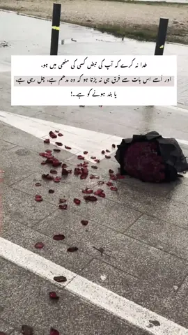 کسی کو اپنی رگ رگ کا پتہ دے دیں لیکن کبھی 