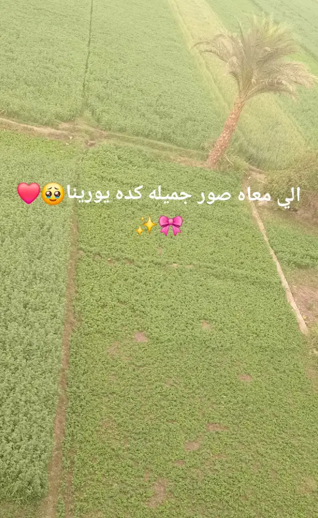 خلونا نشوف🥹❤
