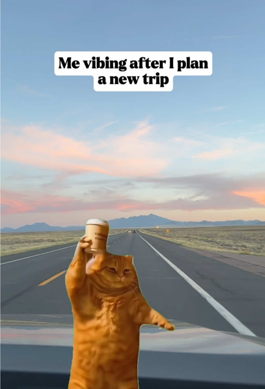 Anyone else? Just planning the trip makes me feel good! Taking the trip is even better. 💜 #takethetrip #travel #traveltiktok #roadtrip #tripplanning 