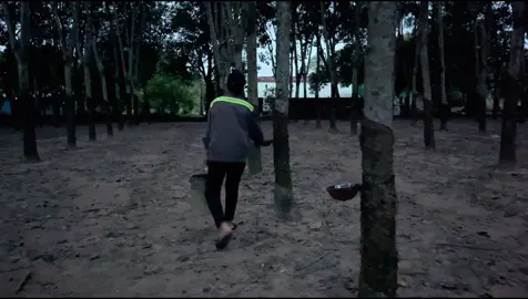 Cuộc sống mỗi người không ai giống ai ..🌤️ #gấubéonè🐻 #caosu #70tayninh #cuocsong #tayninh 