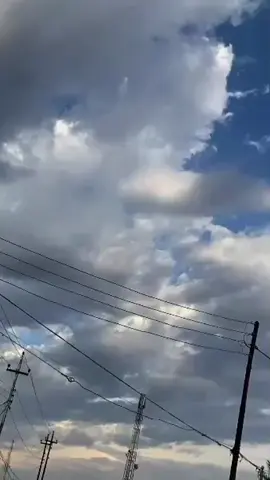 #CapCut #🖤🤍#🦋✨  #مالي_خلق_احط_هاشتاقات 