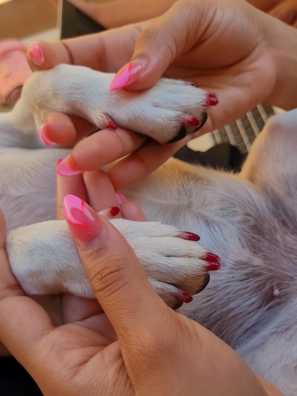 Reyetsa soo, akere ke Dezemba