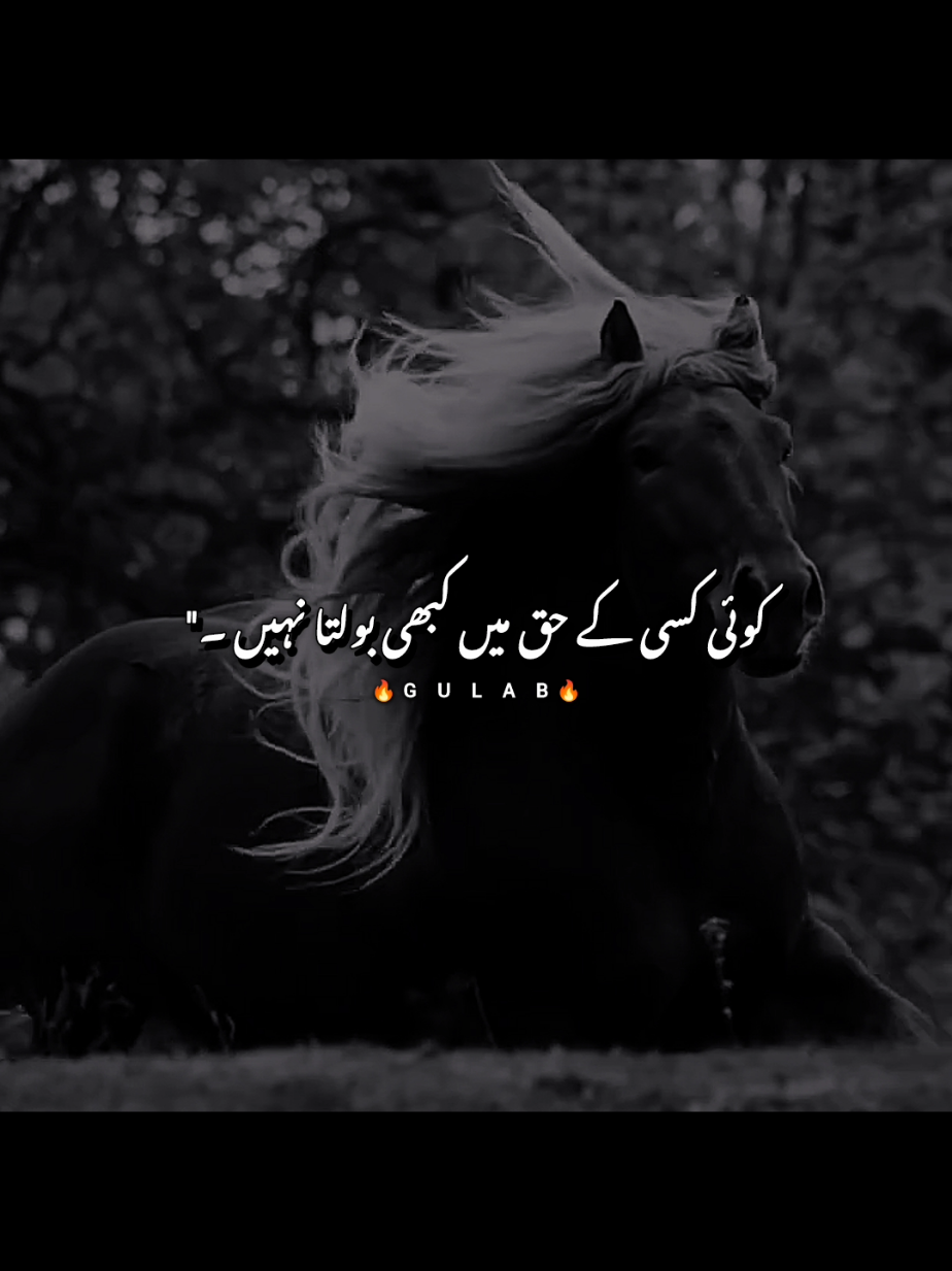 JBH💀🔥👍🏻.....       [Unfreez my Account Dear TikTok Team].    #trending #urdupoetry #shayari #forYou #deeplines 