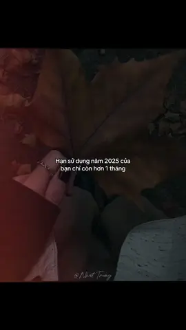 #_nhat_trung🤍 #dntxuhuong #fbtxuhuong 