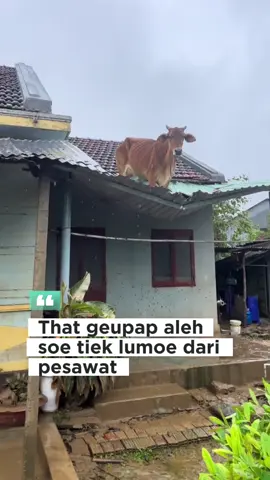 Supoe lumoe batuan nyoe keupue itiek  ateuh bubueng rumoeh lon ###AcehViral #acehhebat #Berita  #trendingtiktok 