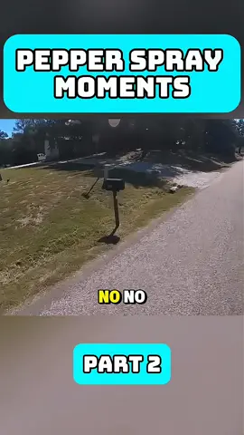 Messic CAM returns to TipTon LIVE - What do you think he's winner?? #MessiCam #MessiOnTiktok #MLS2025 #playerspotlightmessi #TiktokSports 