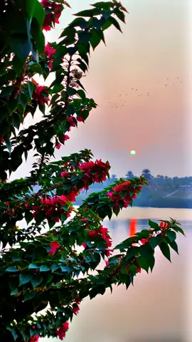 اليعجبة بگلبي يسكن لا يجرحة ❤️‍🩹😩   #شعر #عباراتكم_الفخمه📿📌 #حزن #ريف #تصويري📸 