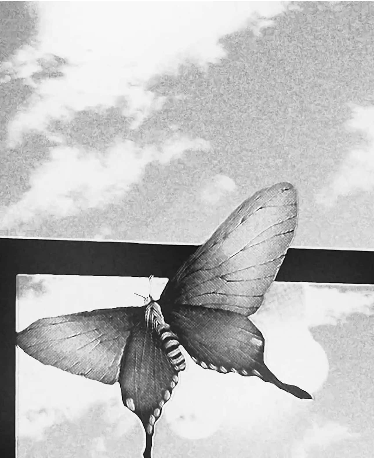 An insect // #fyp #viral #edit #arima #tokyoghoul // @𝘔𝘺𝘦𝘳𝘴* @Chaos 𒉭 @batapple_ @fenton @Lannister 2.0 @MGGGSSS @𝙨𝙚𝙖𝙧𝙨 @spasegroovy 