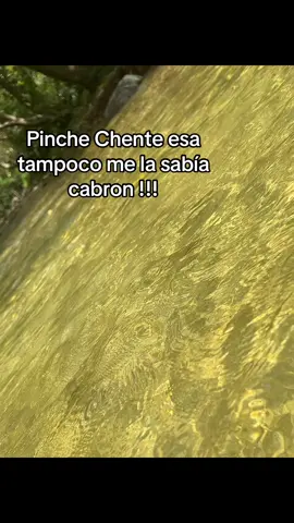 Pinche Chente esa tampoco me la sabía cabron #VicenteFernandez @Epicenter Records USA #chente #consejos #humor #humortiktok 