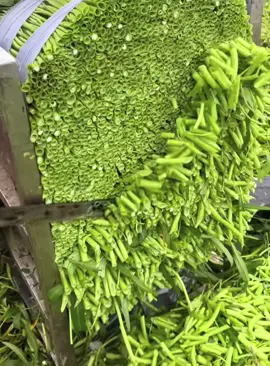 Satisfying ASMR #asmr #satisfying #relax #fyp #tiktok #unzip #reaxing #foryou 