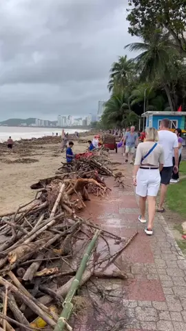Hai hôm nay em như 1 con trâu nước 😢 #nhatrangbeach #79khanhhoa #lũlụt #2025 