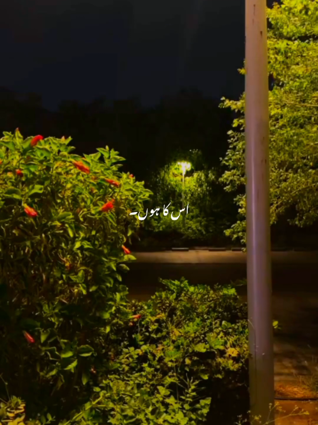 𝗨𝘀𝗸𝗮 𝗛𝗼𝗼𝗻 𝗨𝘀 𝗠𝗮𝗶𝗻 𝗛𝗼𝗼𝗻 🥹🎧 . . #fypviralシ #aestheticvideos #lyrics_songs #sadsong #foryoupage 