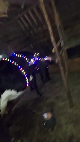 #sarbatorilevin🎅 #văfac #atâtsaputut #😂 