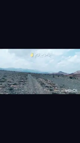 #دهابة_والبلد_رايقة 💰✌