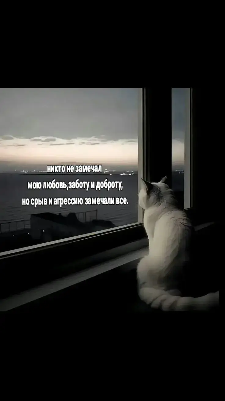 #путиннашпрезидент 