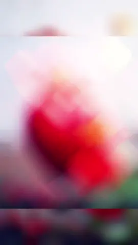 #rajasohailkashmiri🇦🇪🇦🇪💔💔💔💔💔💔💔💔💔💔 #dubaiforyoupage🇦🇪🇦🇪🇦🇪🇦🇪💔💔💔💔💔💔💔💔💔💔💔 