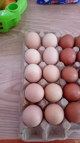 #viral quedé watafak 🥶