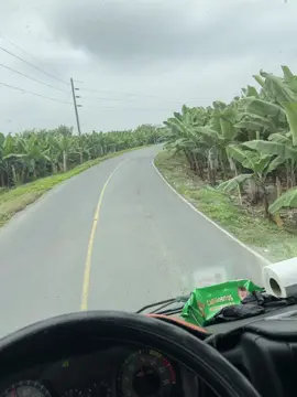 Nunca nunca nunca jaja😂😂😂😂😂