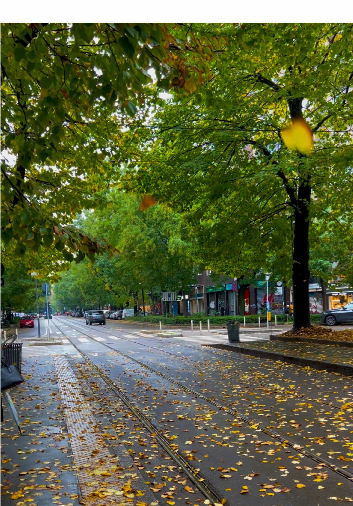 #7toun #ميلانو🇮🇹シ 