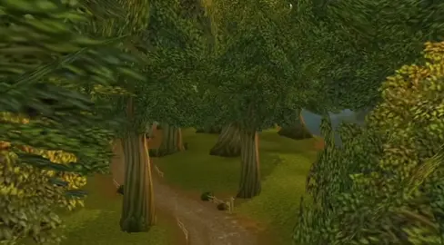 #warcraftmemes #fyp #wowmemes #wowcommunity #classicwow 