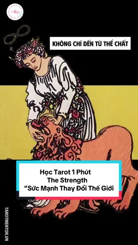 Học Tarot 1 Phút Hướng dẫn thực hành rút bài tarot hằng ngày Hôm nay chúng ta sẽ nói về lá bài The Strength Hình thức học Tarot Online và trực tiếp. #hoctarot #hoctarotonline  #tatatarot  #giaimatnangluong  #LearnOnTikTok