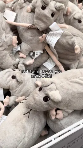 so adorable | #fyp #trend #trending #viral #dontlethisflop 