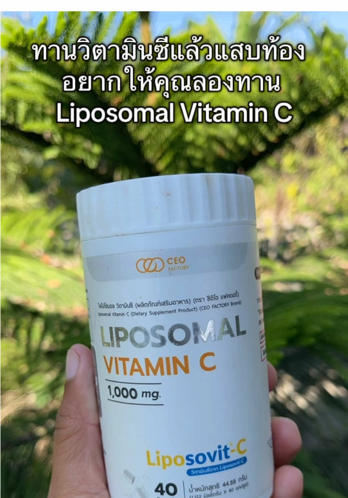 🍊 Liposomal Vitamin C (Liposovit-C) 🍊 💊 วิตามินซีรูปแบบใหม่ ดูดซึมดีกว่าวิตามินซีทั่วไป ✅ ทานแล้วไม่แสบท้อง ✅ ดูดซึมเข้าสู่เซลล์ด้วยเทคโนโลยี Liposomal ✅ เสริมภูมิคุ้มกัน ลดหวัดง่าย ฟื้นฟูร่างกายเร็ว ✅ วิตามินซีเข้มข้น 1,000 mg / เม็ด 📌 แนะนำ สำหรับคนที่เคยทานวิตามินซีทั่วไปแล้วแสบท้อง ต้องลองตัวนี้เลย! ⸻ #วิตามินซี #บำรุงสุขภาพ #เสริมภูมิคุ้มกัน #ของดีบอกต่อ #แตงโมมาป้ายยา @เจ้ฝนบอกพิกัดของดี  @เจ้ฝนบอกพิกัดของดี  @เจ้ฝนบอกพิกัดของดี 