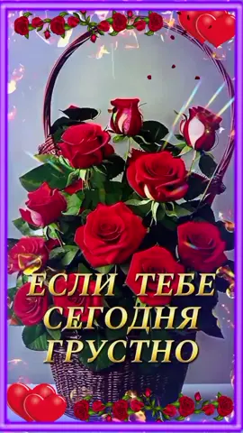 #Пожелания #Хорошегонастроения #Сдобрымутром #добрыйвечер #ДОБРОЙНОЧИ #доброгодня #Моимдрузьям #приятногопросмотра #мираидобравашемудому #отдуши