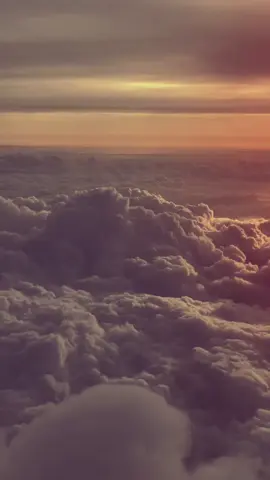 فاطمة الزهراء عليها السلام  السيد محمد الصدر 