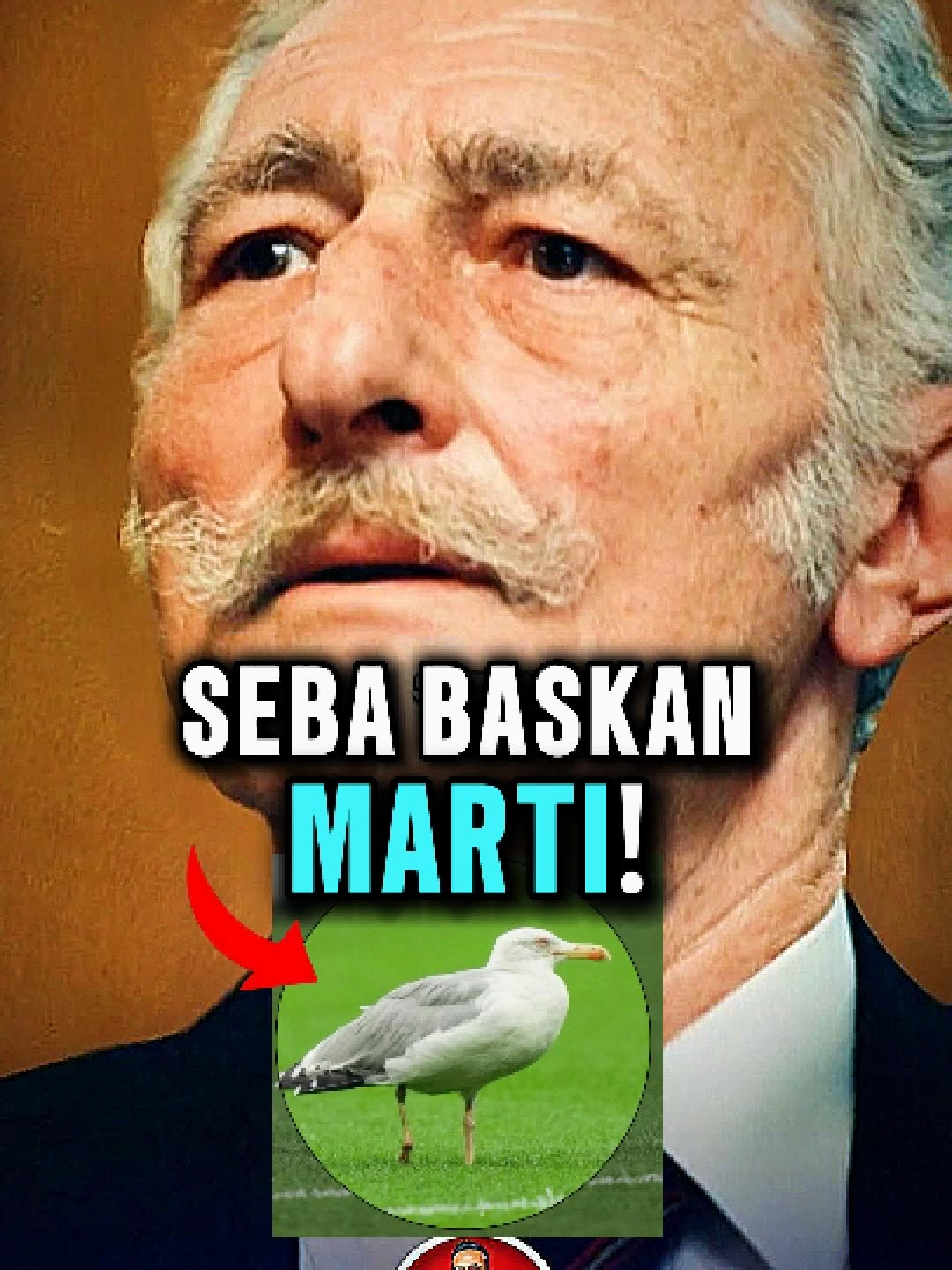 Süleyman Seba Beşiktaşı Yalnız Bırakmadı! Beşiktaş - Samsunspor #süleymanseba #martı #beşiktaş #sadecespor