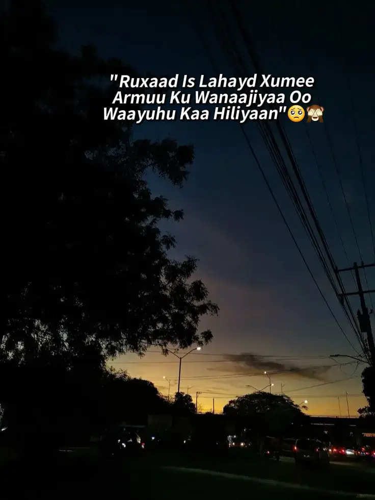 Xisxis waligaa😭 #foryou #fyp #viral #viral #nairobitiktokers  like isaar pls♥️