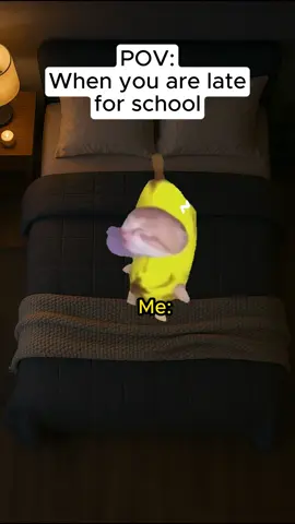 When you are late for school😂 #catmemes #relatable #school #grandma #funnycats 