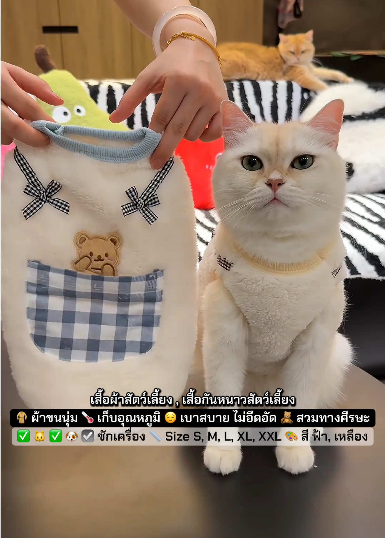 🧥 #เสื้อกันหนาวสัตว์เลี้ยง #เสื้อผ้าสัตว์เลี้ยง 🎽 เสื้อแขนกุด 🎨 สี ฟ้า, เหลือง 📏 Size S : เหมาะกับสัตว์เลี้ยงน้ำหนัก 1-2 กิโลกรัม 📏 Size M : เหมาะกับสัตว์เลี้ยงน้ำหนัก 2-3 กิโลกรัม 📏 Size L : เหมาะกับสัตว์เลี้ยงน้ำหนัก 3-5.5 กิโลกรัม 📏 Size XL : เหมาะกับสัตว์เลี้ยงน้ำหนัก 5.5-7.5 กิโลกรัม 📏 Size 2XL : เหมาะกับสัตว์เลี้ยงน้ำหนัก 7.5-9 กิโลกรัม #เสื้อผ้าแมว #เสื้อแมว #เสื้อกันหนาวแมว 💕 @สัตว์เลี้ยง แสนรัก 💕 @สัตว์เลี้ยง แสนรัก 💕 @สัตว์เลี้ยง แสนรัก 💕 