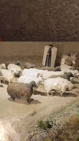 #karspeynirmuzesi #welat #asiklarsehri #sonbahar #kesfetteyiz 