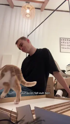 Nouveau meuble de rangement pour ma Drag Room ! N’hésitez pas à vous abonner pour ne rien rater…mais aussi et surtout pour me soutenir haha 🌟