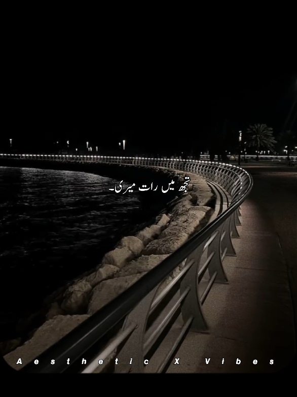 ⭐ 𝙏𝙪𝙟𝙝 𝙈𝙚𝙞𝙣 𝙍𝙖𝙖𝙩 𝙈𝙚𝙧𝙞..... 🌙| #song #unfreezemyacount #viewsproblem #aestheticvibes #fyp 