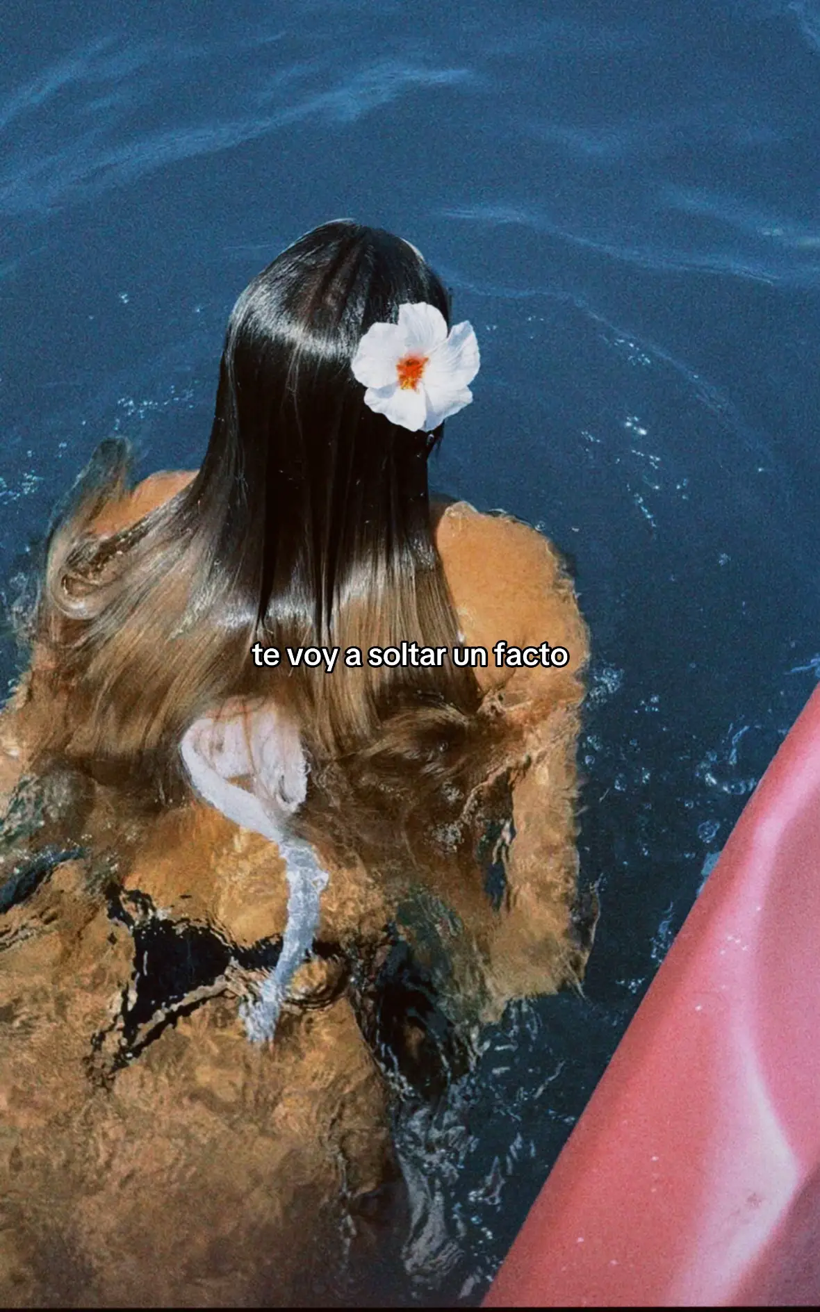 #chuos #quevedo #juseph #canarias #🇮🇨 