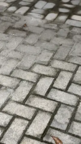 #mxking150 #mxsolostyle #mxsoloraya 