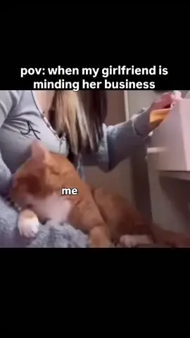 #girlfriends #boyfriends #gf #vgt #couples 