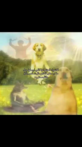 #اكسبلور #fyp #رياكشن 