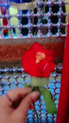 Tum kya Jano dosti me wafa #🙌💫 🫂#creatsearchinsight #unfrezzmyaccount  #myaccountunfreze🙏🥺viral 