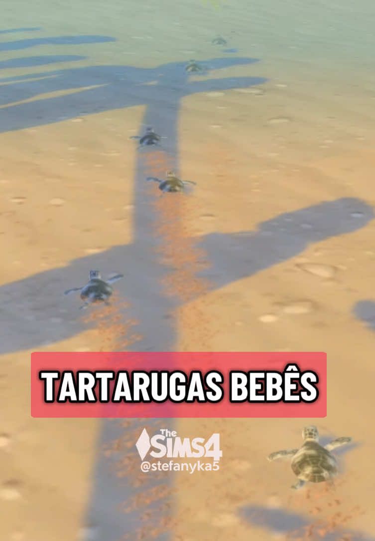 Depois do aviso, ele acontece na segunda-feira! É só ir até o local🫶Você já viu o evento de nascimento tartaruguinhas? 🐢✨ #gameplay #tutorialsims #curiosidades #simstok #fyp 