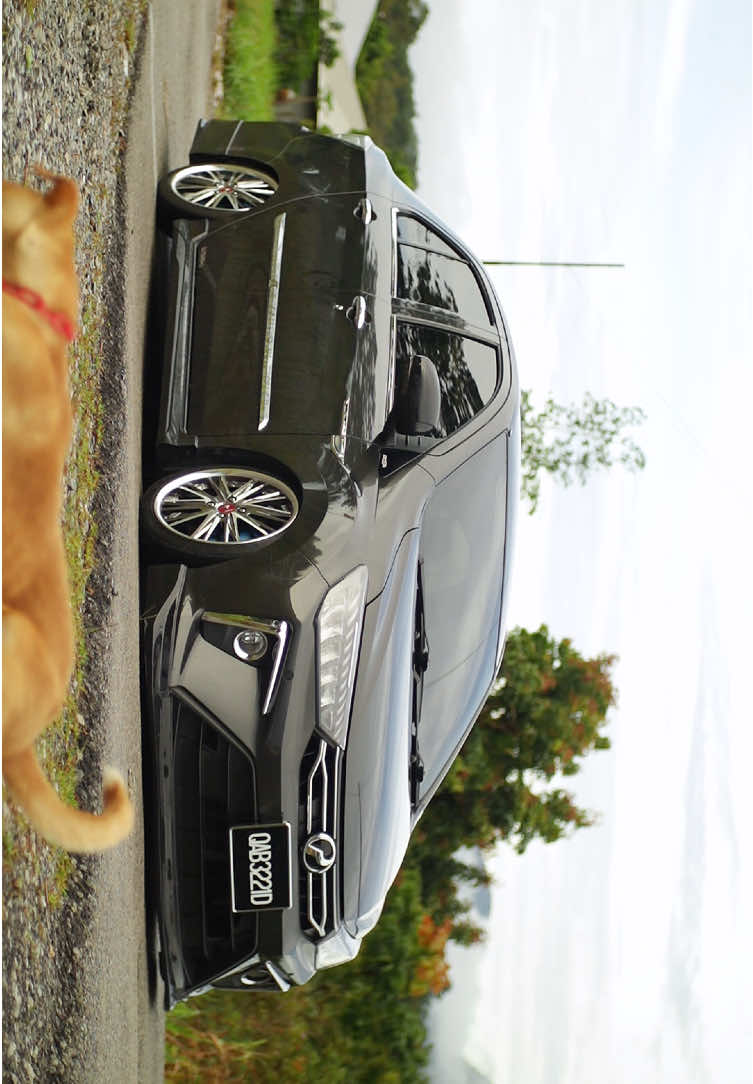 Settle bezza custom knuckle + fast respon ⬆️⬇️ , upgrade hose. ⚡️ Owner : @OKU DI NIKAN 