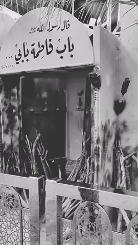 #باسم_الكربلائي #يافاطمة_الزهراء 