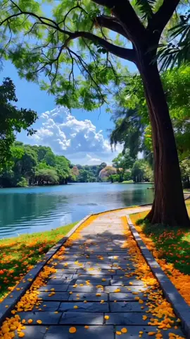 ##LIVEIncentiveProgram #LIVEFEST2025 #MakeLIVECount #PaidPartnership 