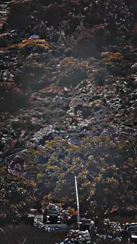 #🙄🤘🦅firaltiktok #tik_tok #tik #virl 